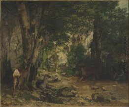 Shelter of Deers in Plaisir Fontaine Creek