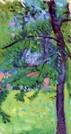 Wiese mit Häusern im Hintergrund Wiese mit Häusern im Hintergrund