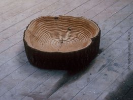 Letzte Baum