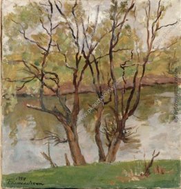 Weiden am Fluss Protva