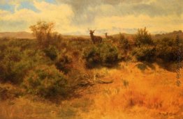 Hirsch und Doe in einer Landschaft