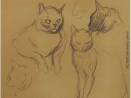 Cat Sketches