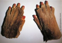 Pelz-Handschuhe mit Holz Fingers