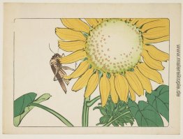 Grasshopper und Sonnenblume