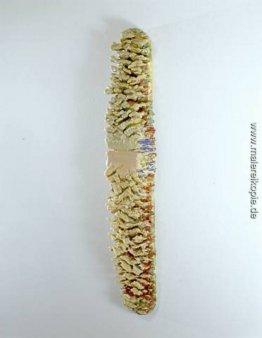 Embryo II