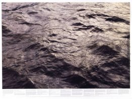 Untitled (aus der Serie Still Water (Die Themse, zum Beispiel))