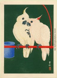 Zwei weiße Kakadus auf einem Red Bar Zwei weiße Kakadus auf einem Red Bar