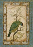 Mughal
