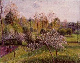 Blühen von Apfelbäumen, Eragny