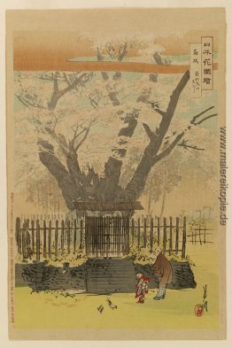 Nihon hana zue