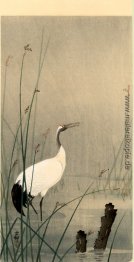 Crane in kleinen Wasser