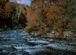 Der Herbst Burst