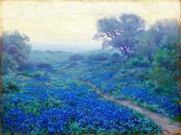 Bluebonnets at Sunrise