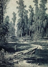 Forest River Forest River