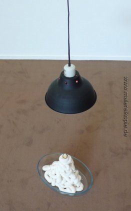 Le gâteau