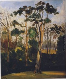 Woods in Mimizan Woods in Mimizan