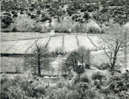 Arizona Landschaft