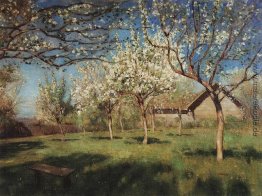 Apfelbäume in Blüte