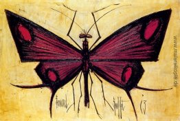 Le Museum: Le papillon rouge