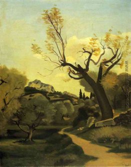 Die Straße und der Baum