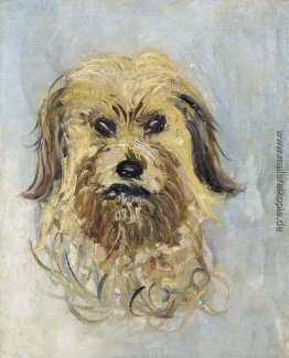 Leiter der Hunde