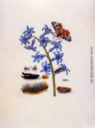 Unbekannter Titel Unbekannter Titel