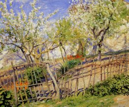 Blüten und Wallflowers