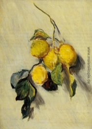 Branch of Lemons