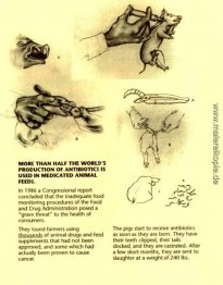 Schweinefleisch 7 Schweinefleisch 7