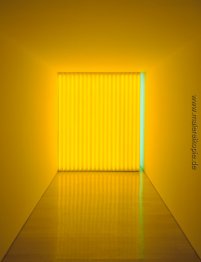 Untitled (Jan und Ron Greenberg)