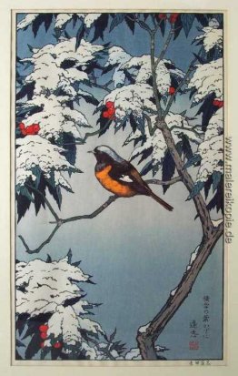 Vögel der Jahreszeiten - Winter
