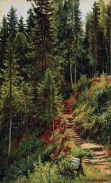 Der Weg in den Wald