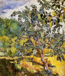 Ecke eines Garten Sun Ecke eines Garten Sun