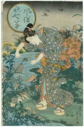 Modische Seven Herbst Pflanzen Modische Seven Herbst Pflanzen