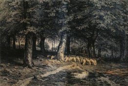 Herde von Schafen in den Wald