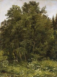 Am Waldrand