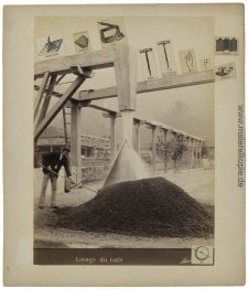 Lavage du café Lavage du café