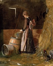 Frische Eier Frische Eier