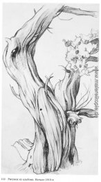 Zeichnung aus dem Album