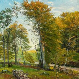 Weg durch den Wald, im Herbst
