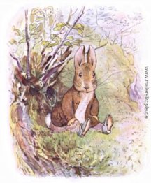 Benjamin Bunny