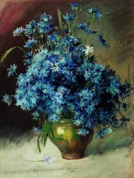 Kornblumen