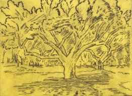Big Tree und Distant Zahlen
