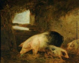 Schweine in einem Schweinestall