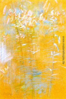 Tiger-Lilien