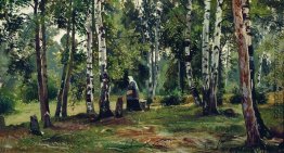 Birch Grove