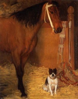 Bei den Ställen, Pferd und Hund