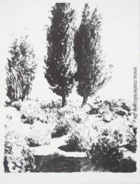 Jerusalem Zypressen und Lavendel Jerusalem Zypressen und Lavendel