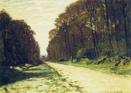 Straße in einem Wald von Fontainebleau