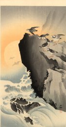 Flussuferläufer und Mond Flussuferläufer und Mond